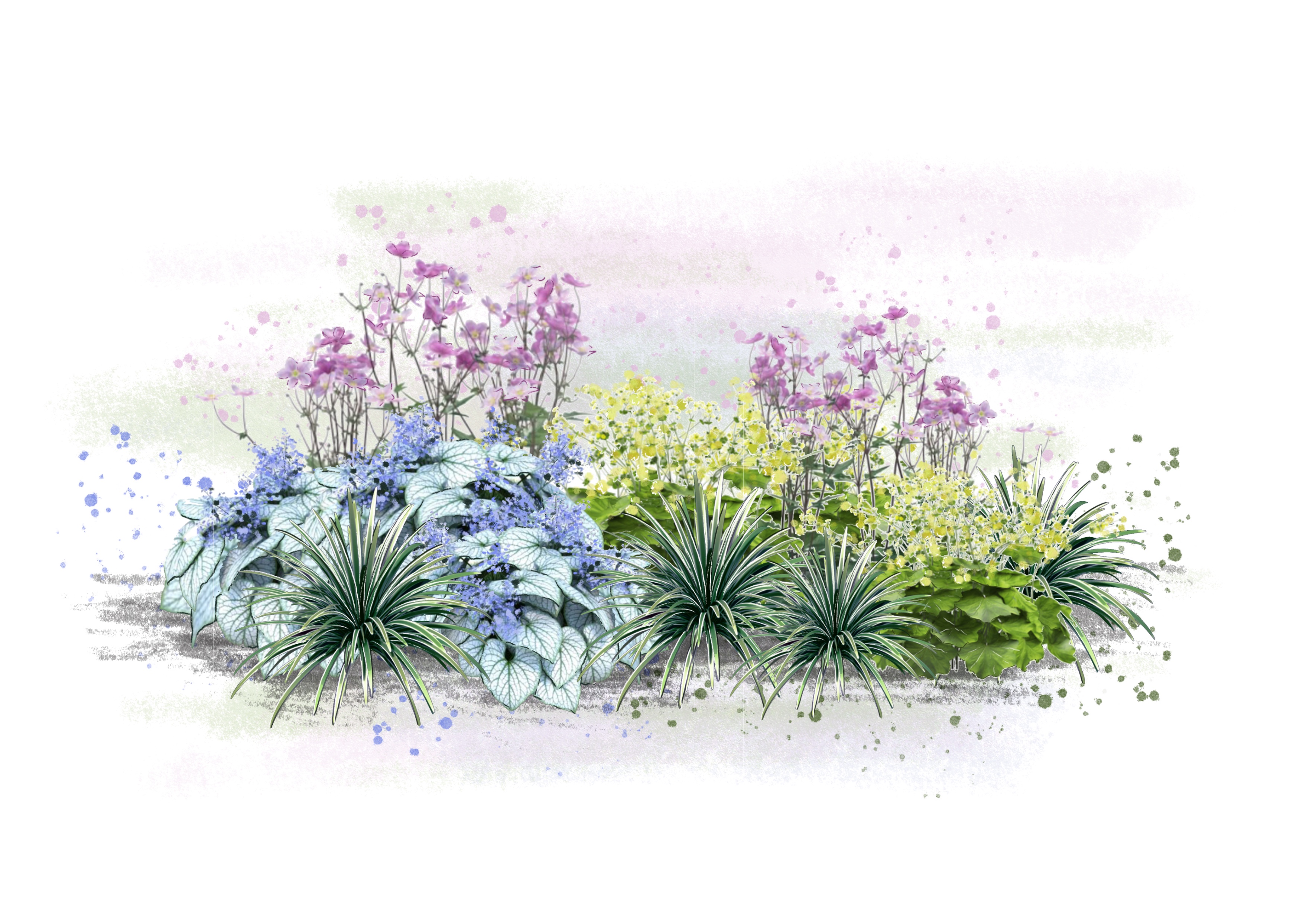 Grafika Landartu - trvalky a okrasné trávy v záhrade