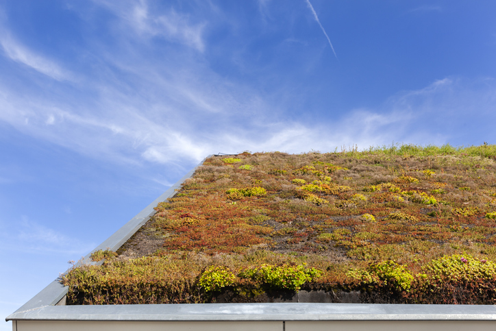 Zelená strecha v jesennom období