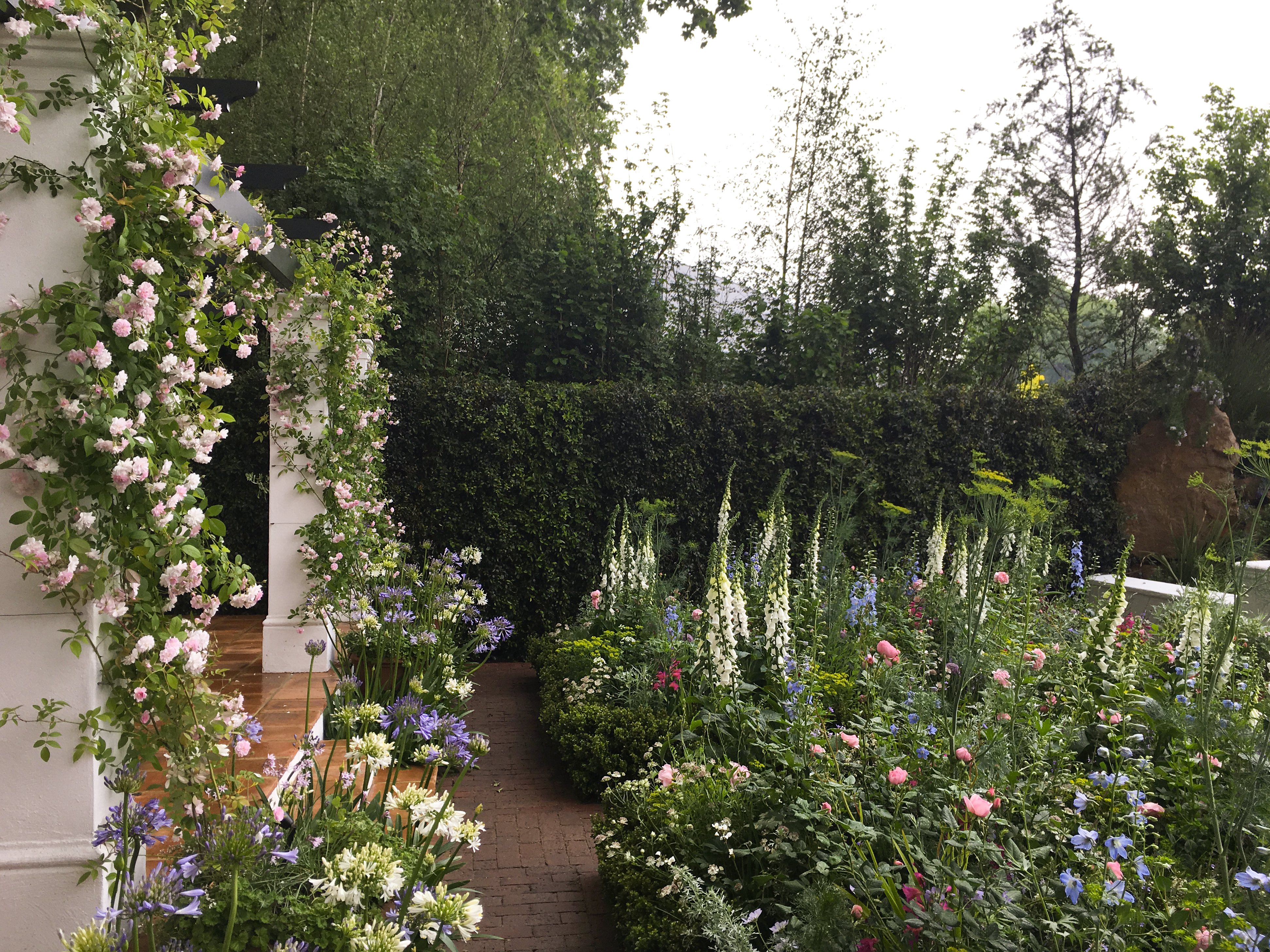 anglická záhrada, trvalky do záhrady
