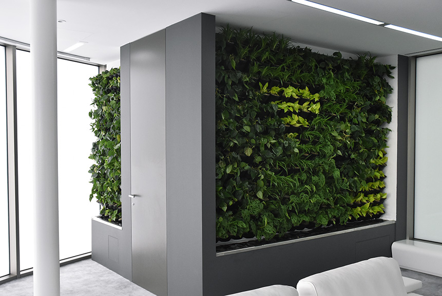 Vertikálna záhrada - zelená stena v interiéri