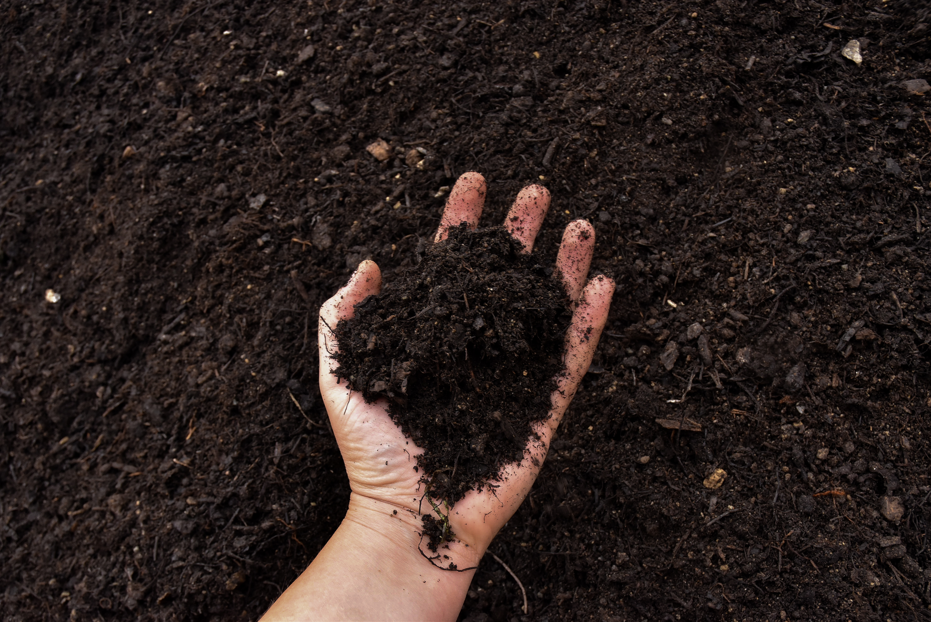 landart substrát kompost zemina
