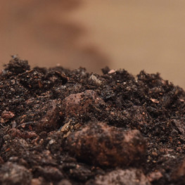 Ako kompostovať a prečo je kompost dôležitý pre záhradu?
