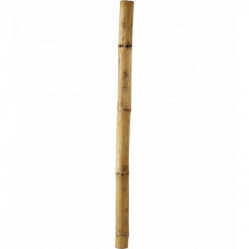 Bambusová tyč 240 cm /26-28 mm/